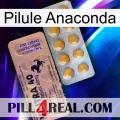Anaconda Pill 41
